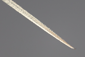 G-JZHK